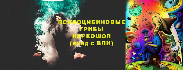 a pvp Абаза