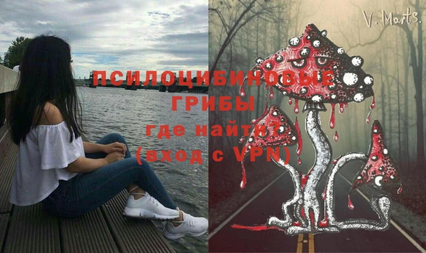 дмт Абинск