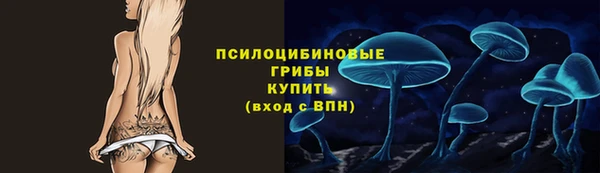 a pvp Абаза